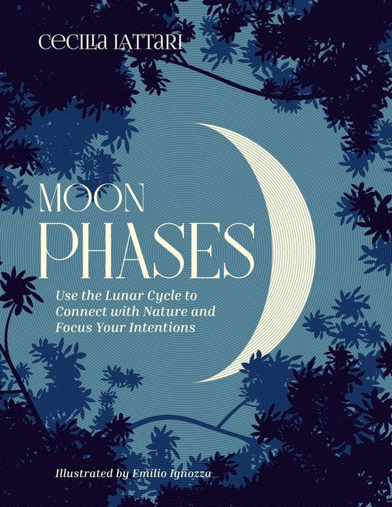 Moon Phases by Cecilia Lattari