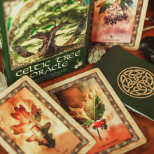 Load image into Gallery viewer, Celtic Tree Oracle by Sharyn Hidalgo